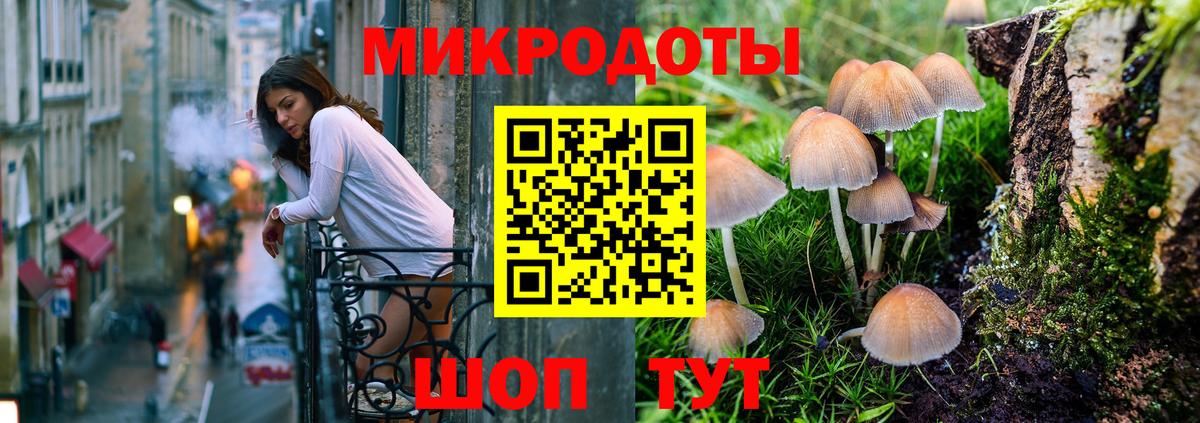 Галлюциногенные грибы мухоморы Архангельск